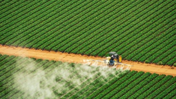 Best Cockroach Control Services  in Picnic Point, WA